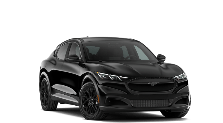Mustang Mach-E® vehicle